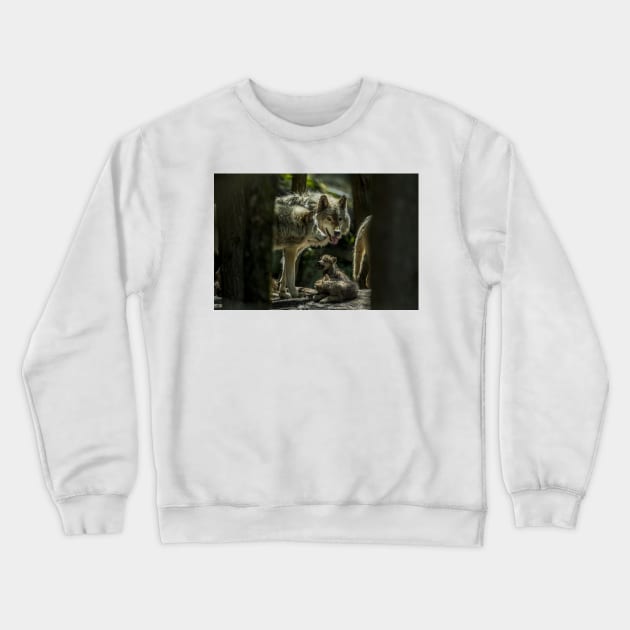 Wolf Family Crewneck Sweatshirt by jaydee1400